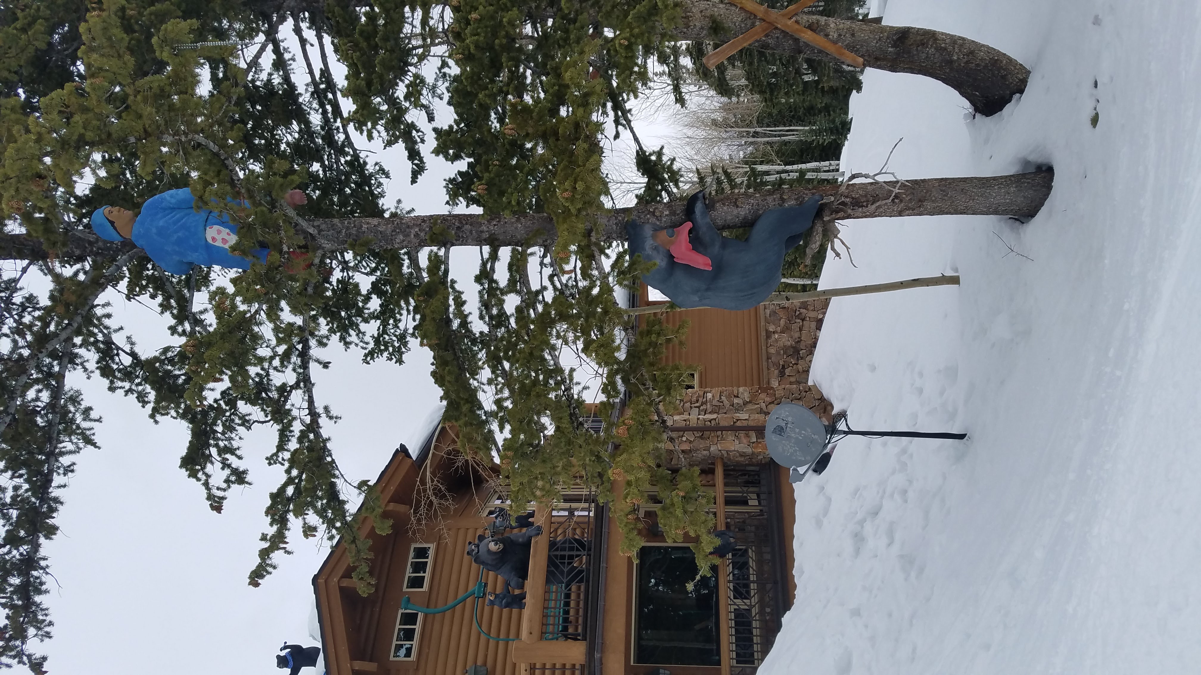 Ski Trips